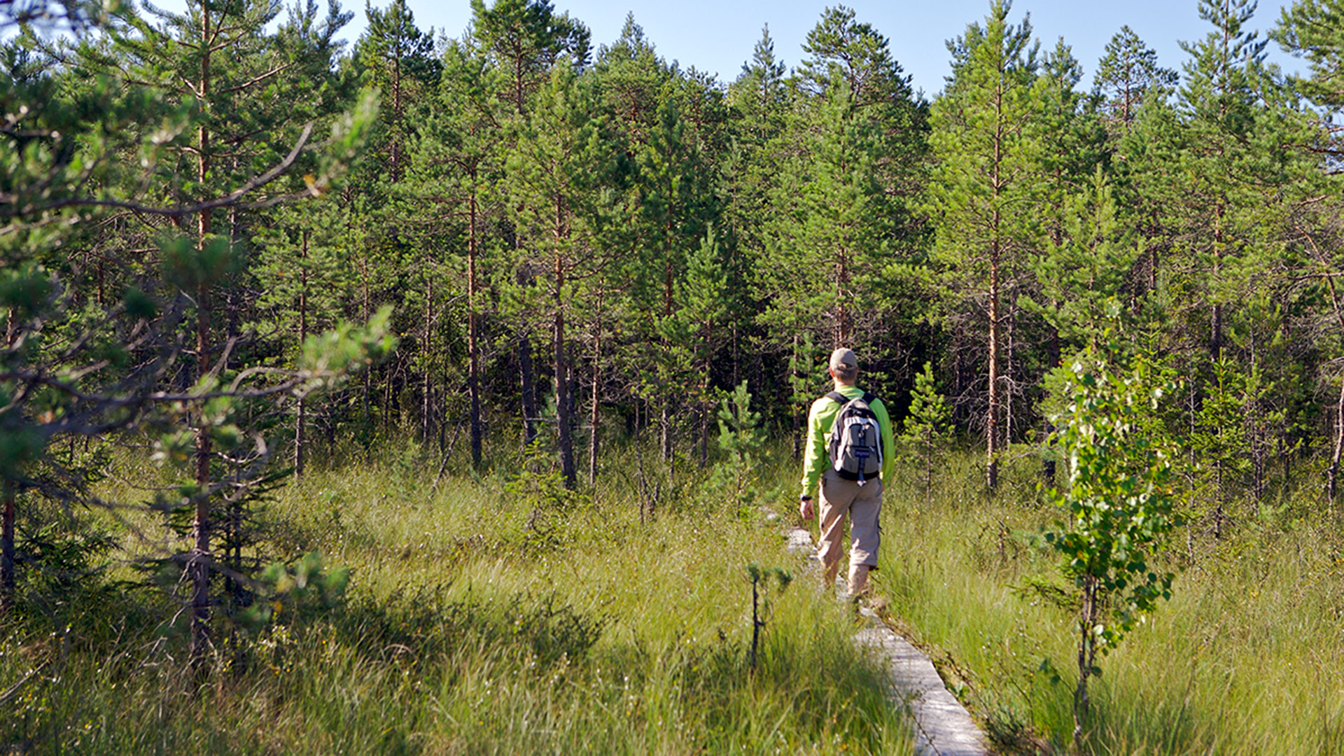 enhancing-the-contribution-of-forests-to-local-communities-3.jpg