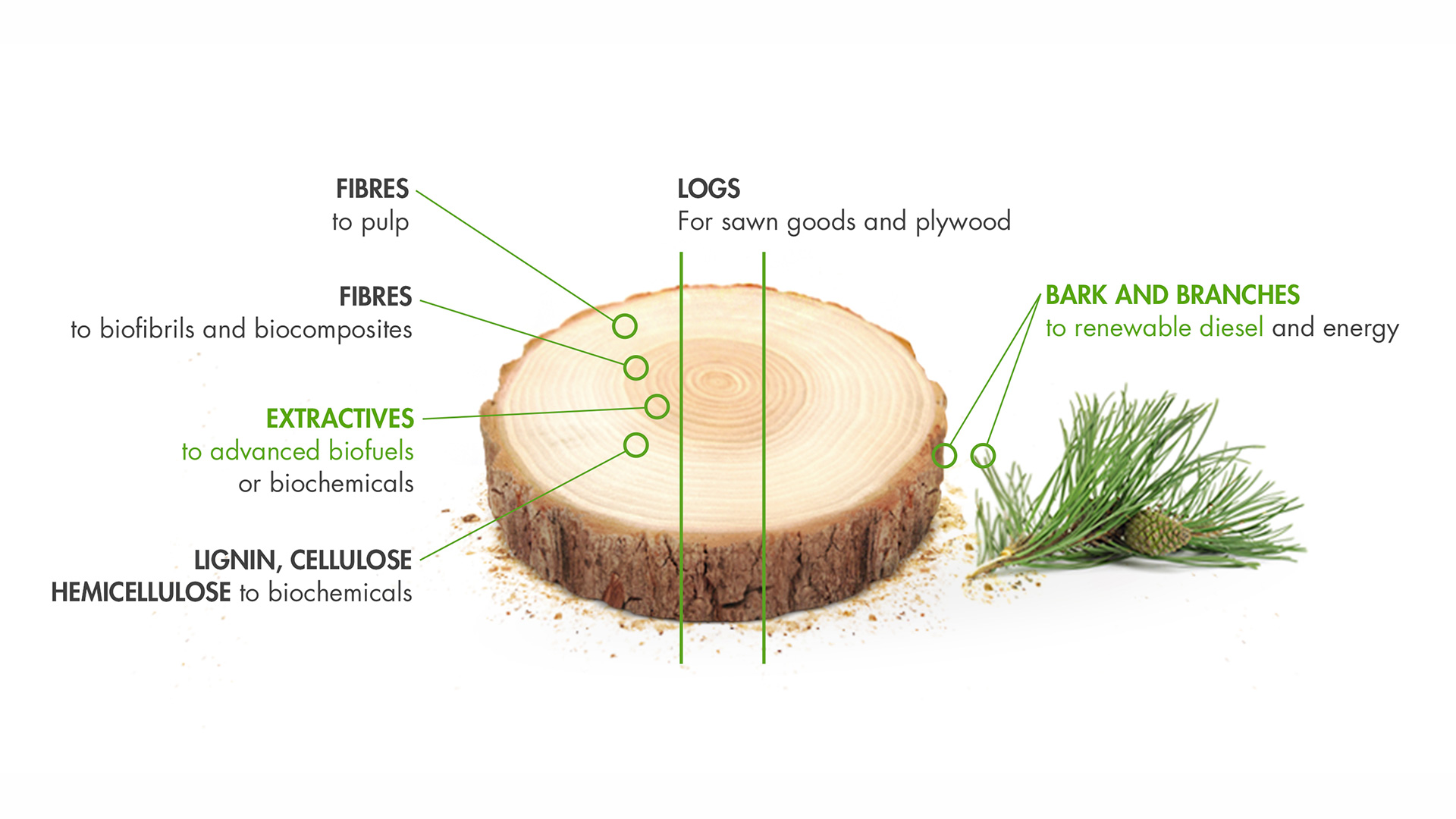 upm-biofuels-wood-raw-material-is-the-basis.jpg