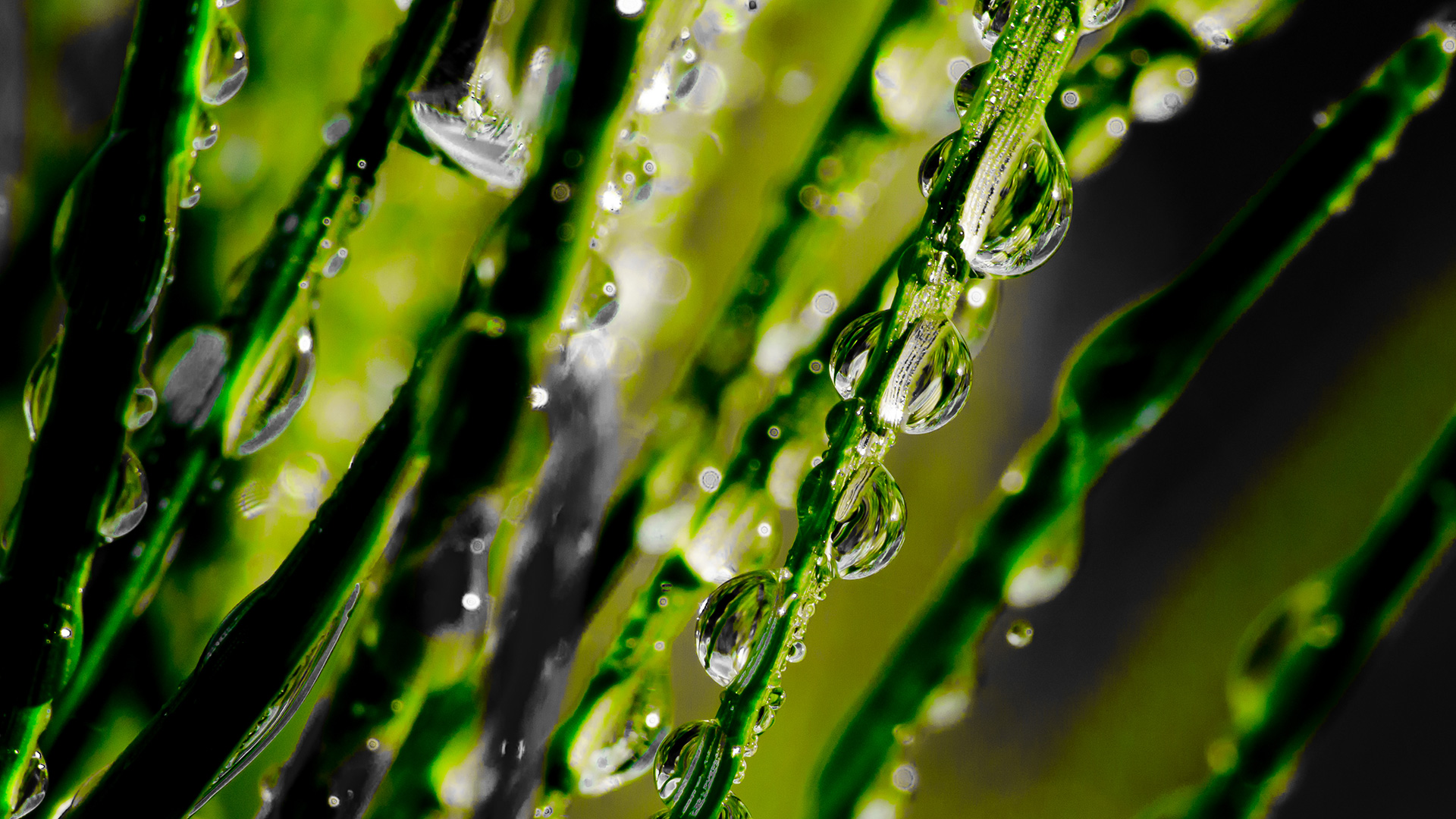 water-drops.jpg