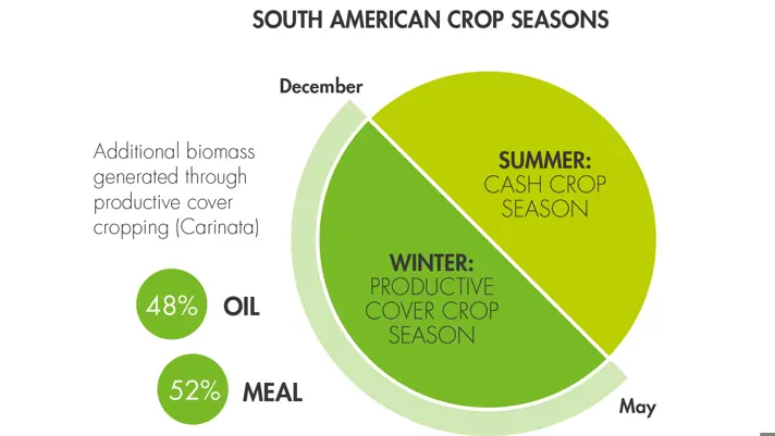 South American crop season